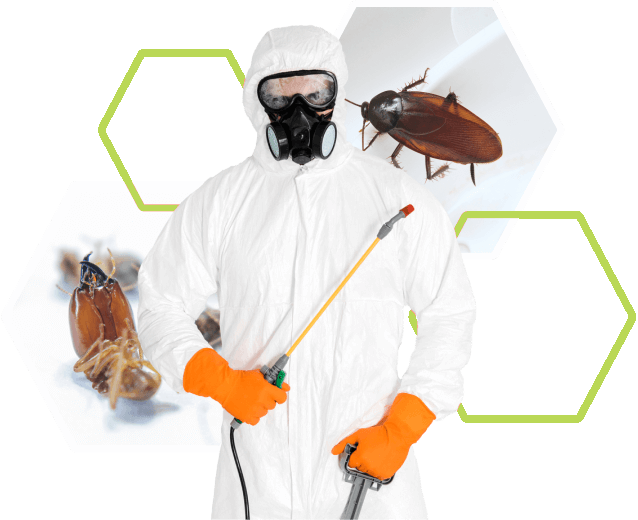 Home 10 kammerjaeger hannover